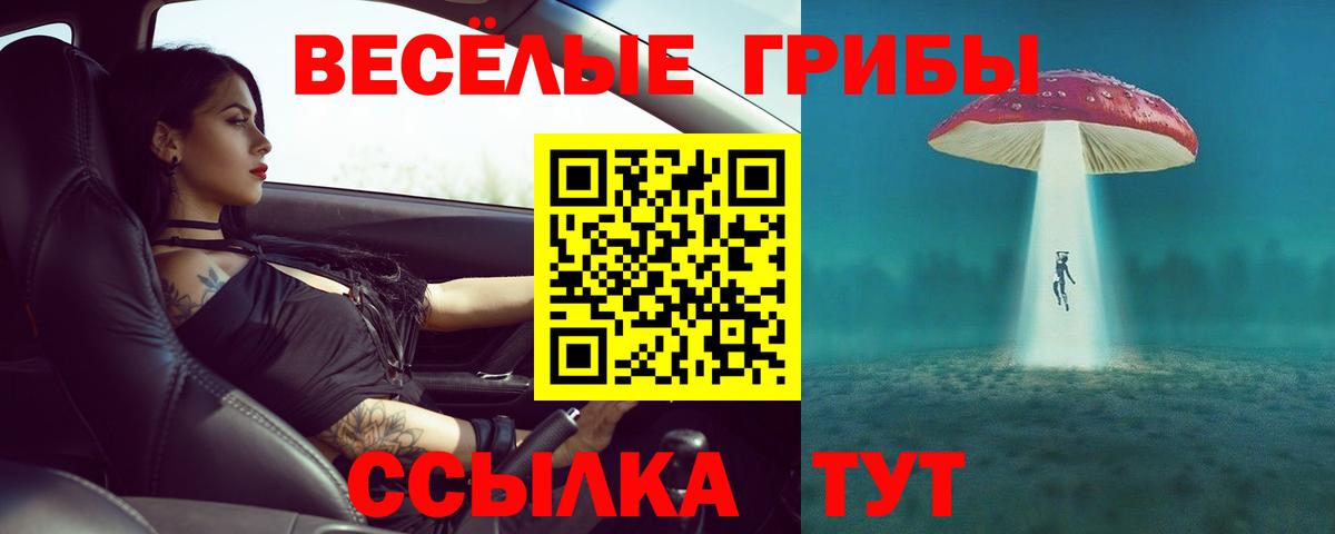 Вышний Волочёк  купить   Вход с VPN  Псилоцибиновые грибы GOLDEN TEACHER  Галлюциногенные грибы Cubensis 